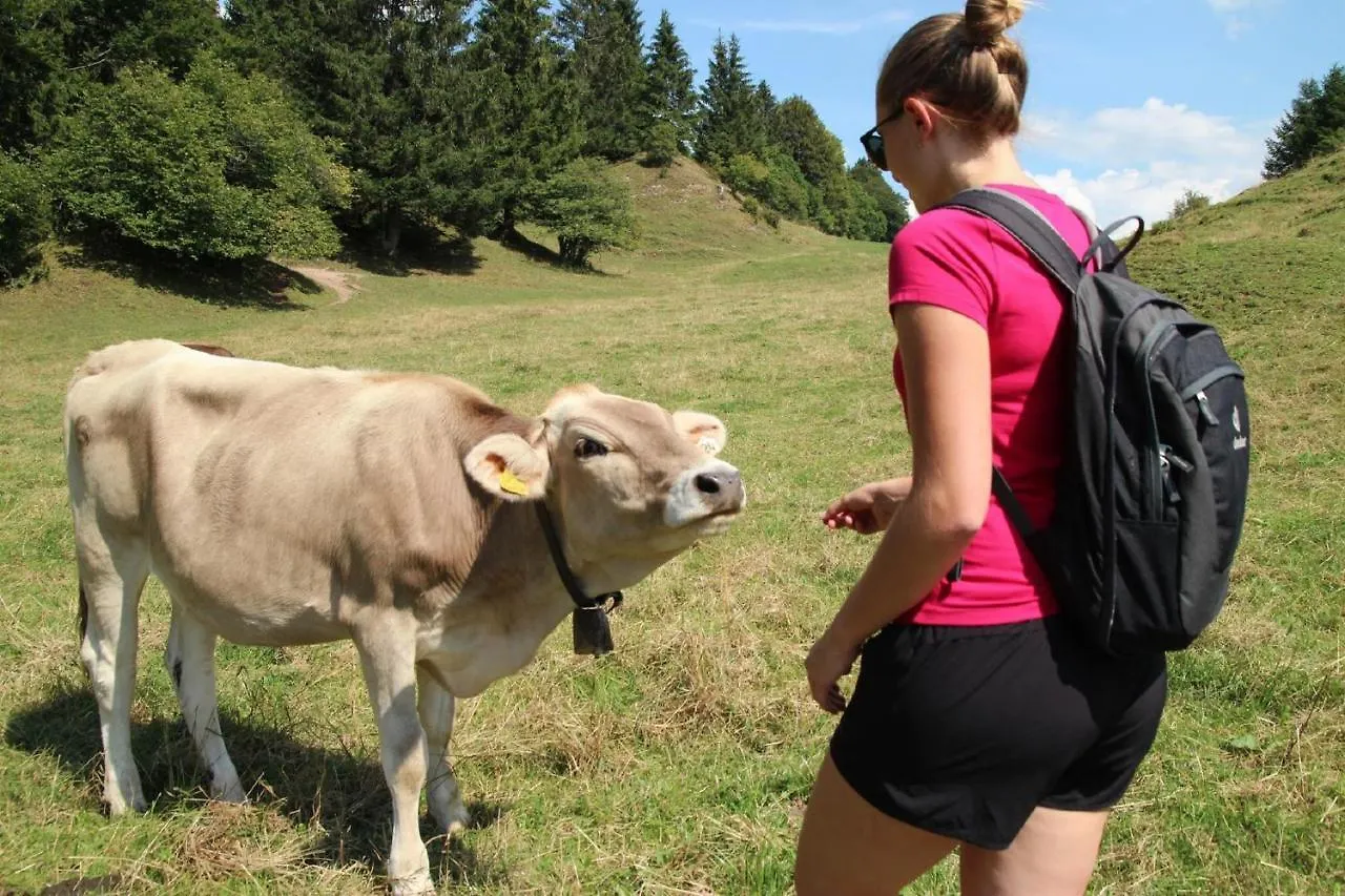 Alloggio in famiglia Appartamento Haus Bagci Füssen